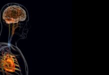 Реакція мозку на серцевий напад може перешкодити одужанню