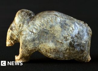 Steinzeitgravuren verschieben die Geschichte des Schreibens um 40.000 Jahre