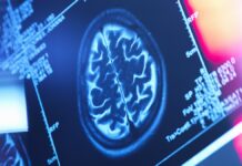 Где накапливается жир, имеет значение: исследование связывает распределение жировых отложений с ухудшением работы мозга