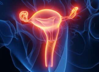 Donna britannica partorisce il primo bambino dopo il trapianto di utero da un donatore deceduto