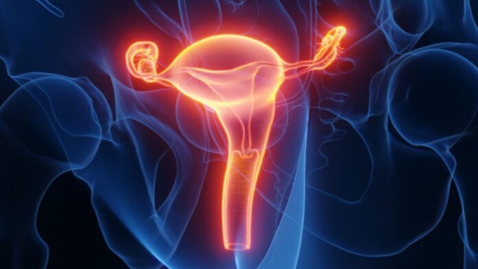 db8991eb-46ae-4272-8d5c-deaae4933eef