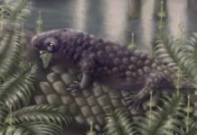 Стародавня рептилія – одна з перших наземних тварин, яка перейшла на рослинну їжу