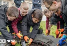 Глазго Розширить Місця проживання Диких Тварин у Міському Проекті на £250,000