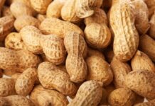 Зв’язок між кишковими бактеріями та тяжкістю алергічної реакції на арахіс