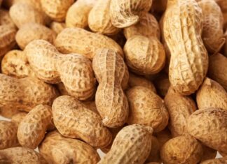 Darmbakterien stehen im Zusammenhang mit der Schwere allergischer Reaktionen auf Erdnüsse