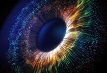 Синестезія Підтверджена: Мозок Належить до Уявних Квітів Як до Реальних