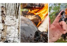 Неандертальці виготовляли антибактеріальну мазь, але, можливо, не знали цього