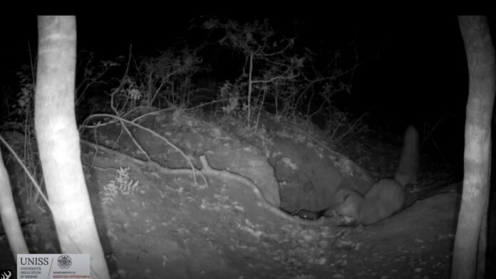 93908a94-0d15-42af-966a-85dcab88ae0e