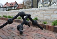 ІІ-Керовані Роботи Розвивають Стійкість за допомогою Симульованої Еволюції