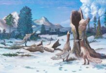 Гігантський арктичний континент привів динозаврів до світового панування