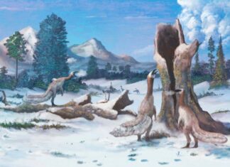 O gigante ártico: como uma massa de terra polar abriu caminho para o domínio dos dinossauros