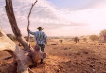 Як спричинені зміною клімату посухи сприяють появі супербактерій