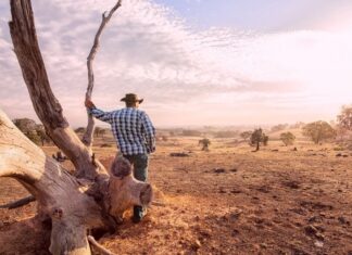 How Climate-Driven Droughts Are Fueling the Rise of Superbugs