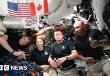 З Уельсу на Місяць: як місцева лазерна компанія забезпечила успіх місії Artemis II