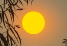 Зростання загрози поєднання екстремальної спеки і посухи: глобальна оцінка ризиків