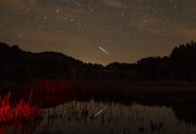 La cattura delle Liridi: una guida allo sciame meteorico del 2026
