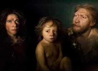 Schnelles Wachstum und große Anforderungen: Die ungewöhnliche Entwicklung von Neandertaler-Säuglingen