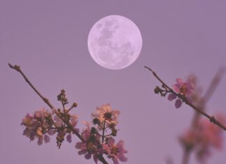 Як повня визначає дату Великодня