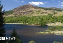 Кампанія за створення національного парку Галлоуей завершено у зв’язку з розпуском правозахисної групи