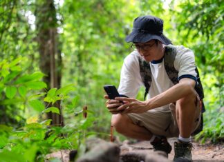 Del descubrimiento en el interior al avance científico: cómo la ciencia ciudadana resucitó una planta “extinta”