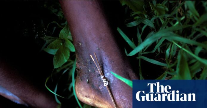 cf74ecef-6039-48f0-8747-8895618603f4