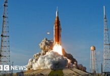 США та Канада: Огляд за тиждень