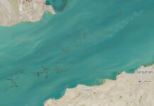 Krisis Lingkungan Hidup Membayangi Teluk Persia Saat Serangan Militer Memicu Tumpahan Minyak Secara Besar-besaran