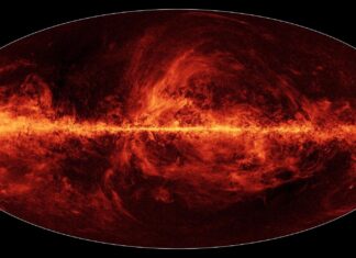Loki’s Legacy: How the Milky Way Devoured a Primordial Galaxy 10 Billion Years Ago