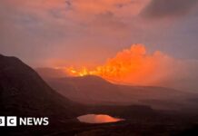 Northern Ireland’s Wildfire Crisis: How Climate Change Is Extending the Danger Zone