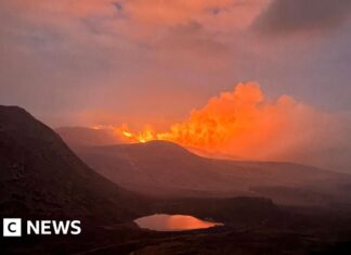Northern Ireland’s Wildfire Crisis: How Climate Change Is Extending the Danger Zone