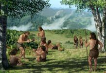 Die letzten Neandertaler haben sich nicht zu Tode durch Inzucht gezüchtet