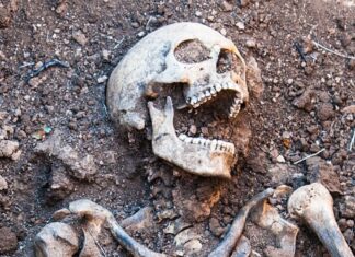 Cómo el canibalismo se convirtió en la trampa evolutiva más mortífera de la humanidad