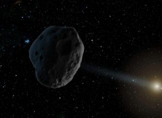 Identificación de cometas ocultos: cómo las fuerzas no gravitacionales revelan la verdadera naturaleza de 1998 SH2