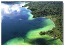 Чому берегова лінія Мартініки руйнується і як її врятувати